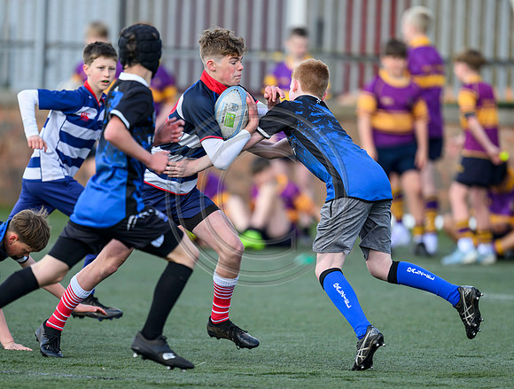 SP Energy Networks Warriors Championships Semi Final