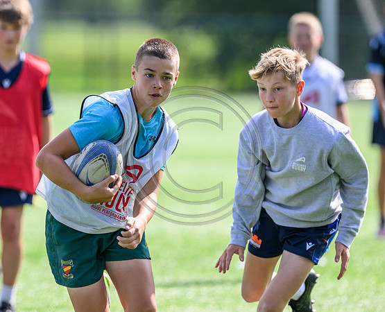 Accelerate Rugby