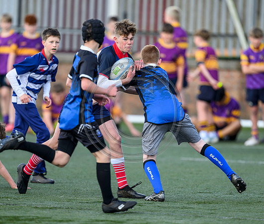 SP Energy Networks Warriors Championships Semi Final