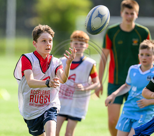 Accelerate Rugby