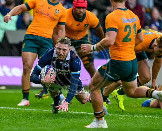 Scotland v Australia