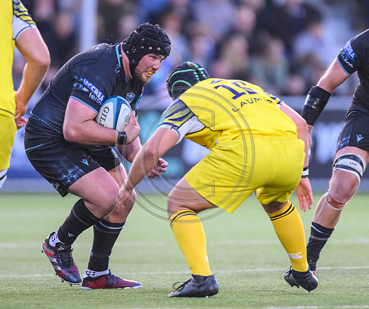 Warriors v Zebre