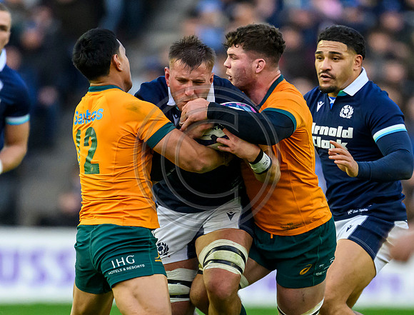 Scotland v Australia