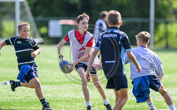 Accelerate Rugby