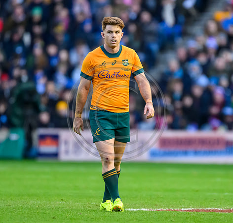 Scotland v Australia