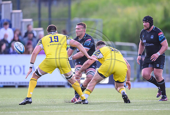 Warriors v Zebre
