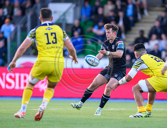 Warriors v Zebre