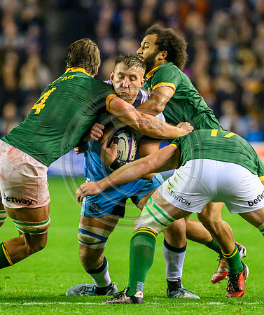 Scotland v South Africa