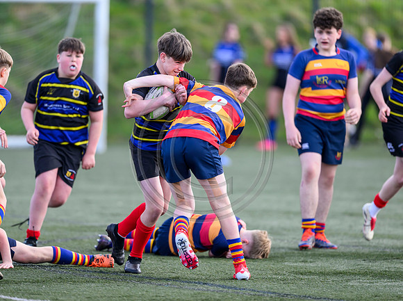 SP Energy Networks Warriors Championships Semi Final