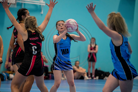 Aberdeen v Wildcats