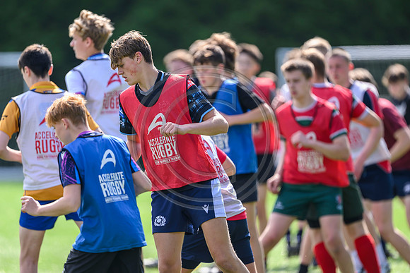 Accelerate Rugby