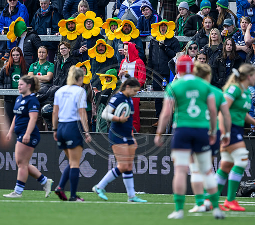 Ireland Women v Scotland Women