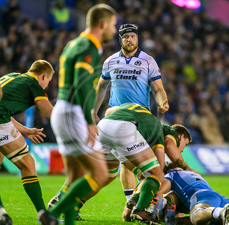 Scotland v South Africa