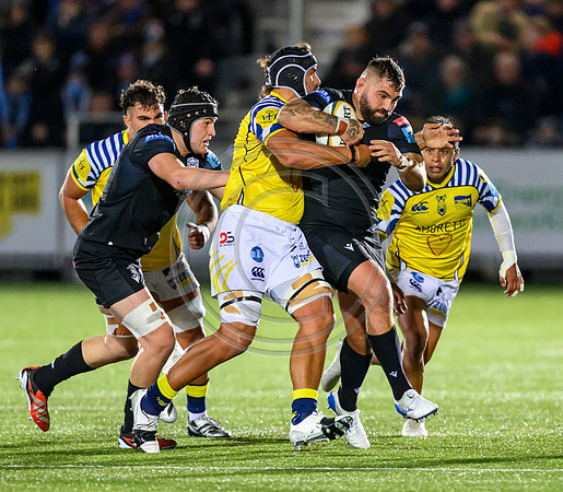 Warriors v Zebre
