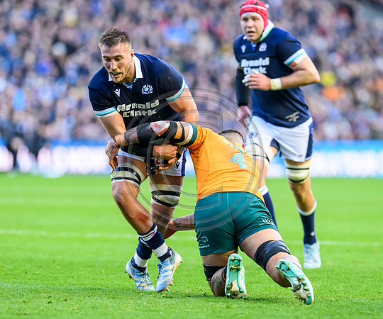 Scotland v Australia