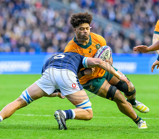 Scotland v Australia