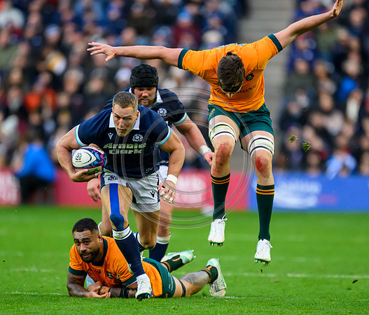 Scotland v Australia