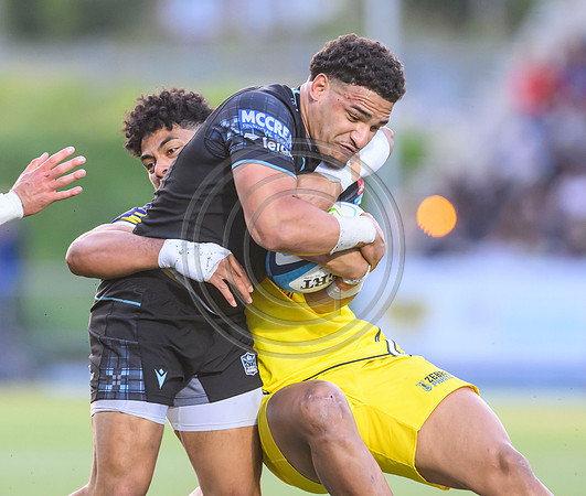 Warriors v Zebre