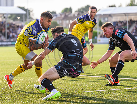 Warriors v Zebre