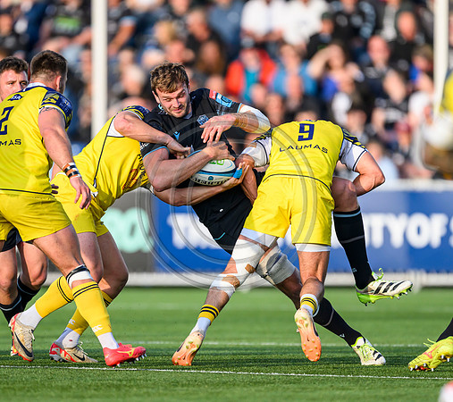 Warriors v Zebre