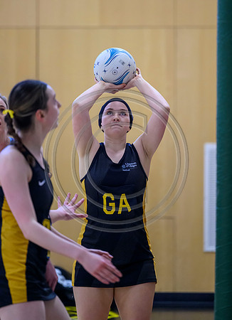 National League Netball