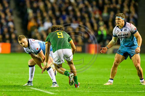 Scotland v South Africa