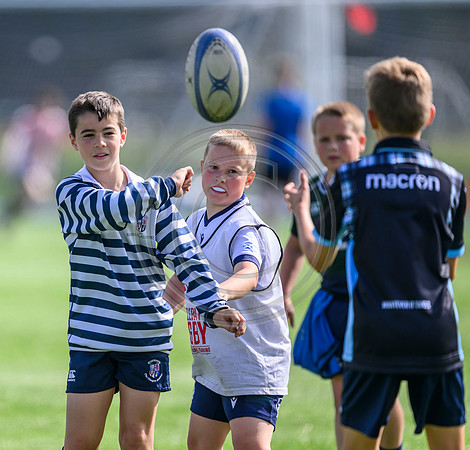 Accelerate Rugby