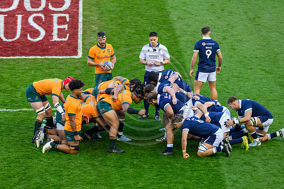 Scotland v Australia