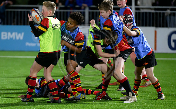 Edinburgh v Cell C Sharks
