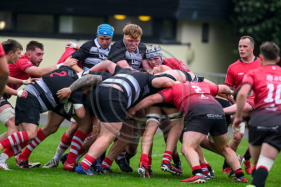 Glasgow Hawks v kelso