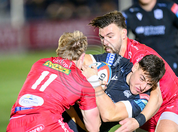 Warriors v Scarlets