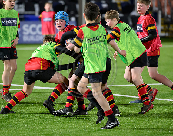 Edinburgh v Cell C Sharks