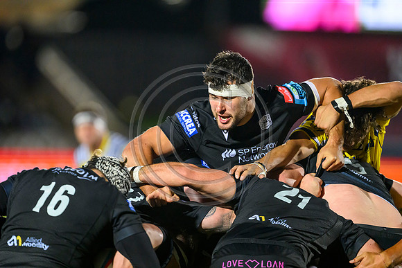 Warriors v Zebre