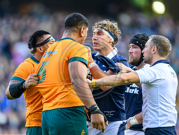 Scotland v Australia