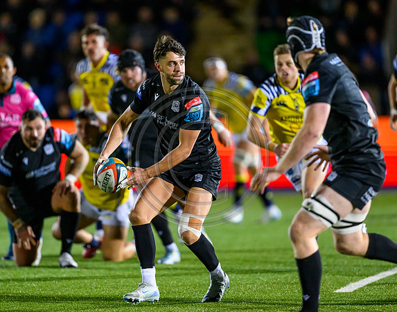 Warriors v Zebre