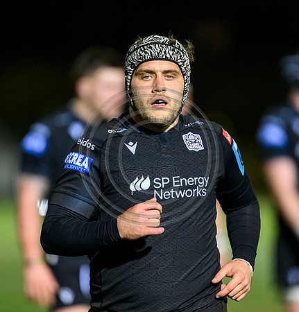 Warriors v Zebre