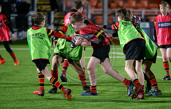 Edinburgh v Cell C Sharks