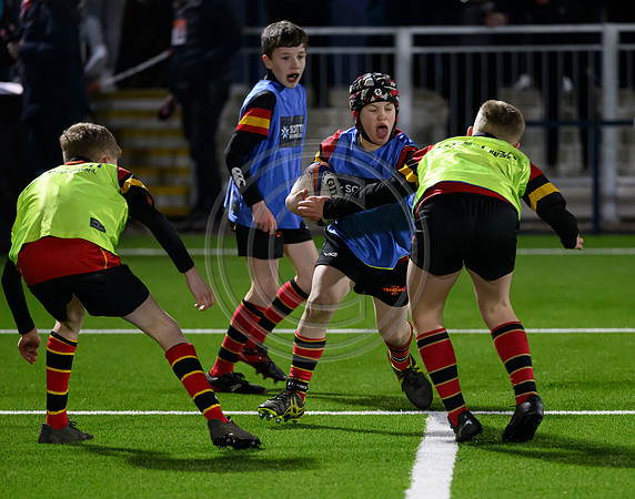 Edinburgh v Cell C Sharks
