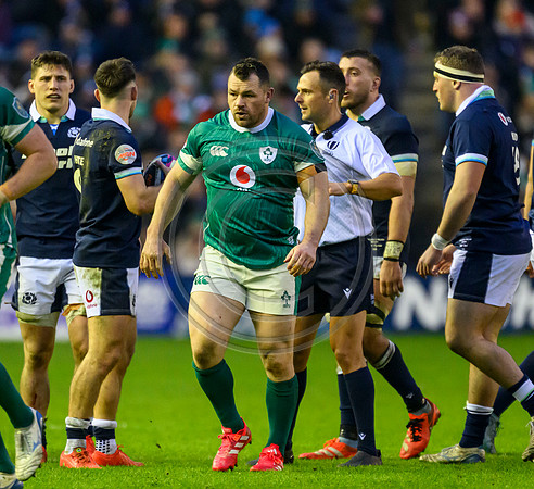 Scotland v ireland