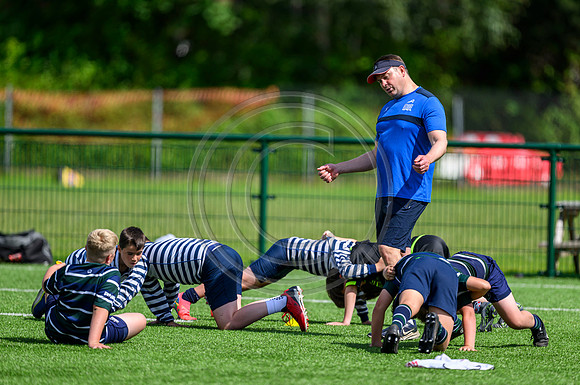 Accelerate Rugby