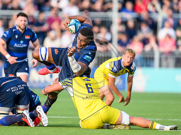 Edinburgh v Zebre