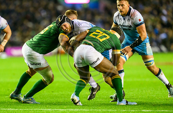 Scotland v South Africa