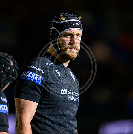 Warriors v Zebre