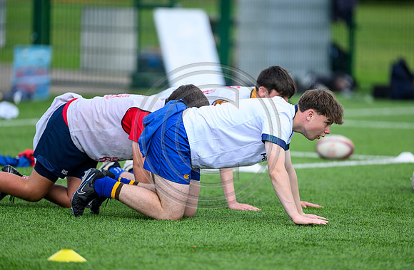 Accelerate Rugby