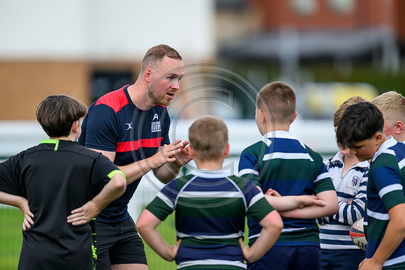 Accelerate Rugby