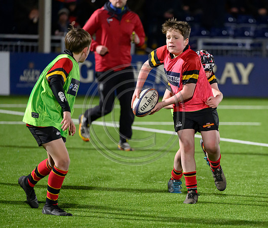 Edinburgh v Cell C Sharks