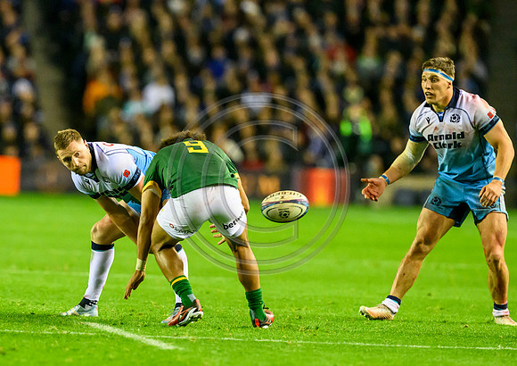 Scotland v South Africa