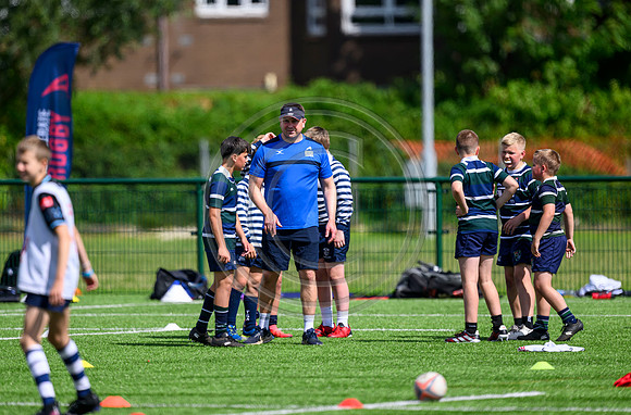 Accelerate Rugby