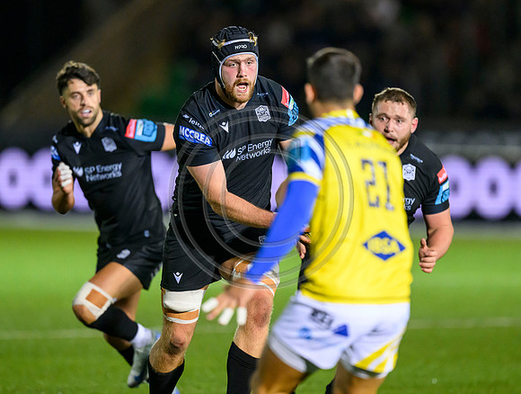 Warriors v Zebre