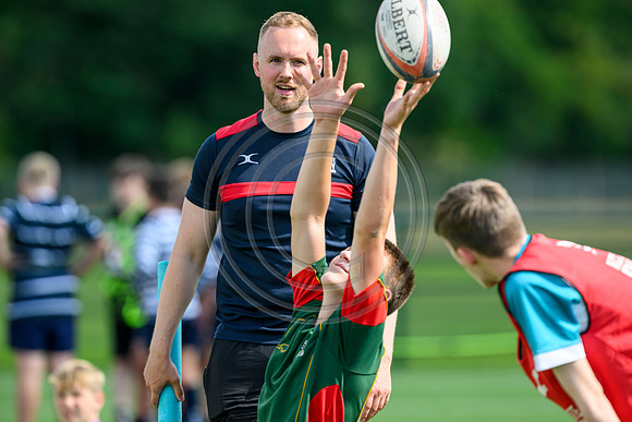 Accelerate Rugby